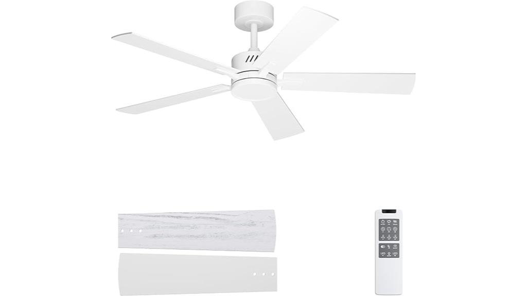 ceiling fan with lights