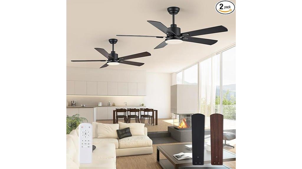 dual ceiling fans with lighting