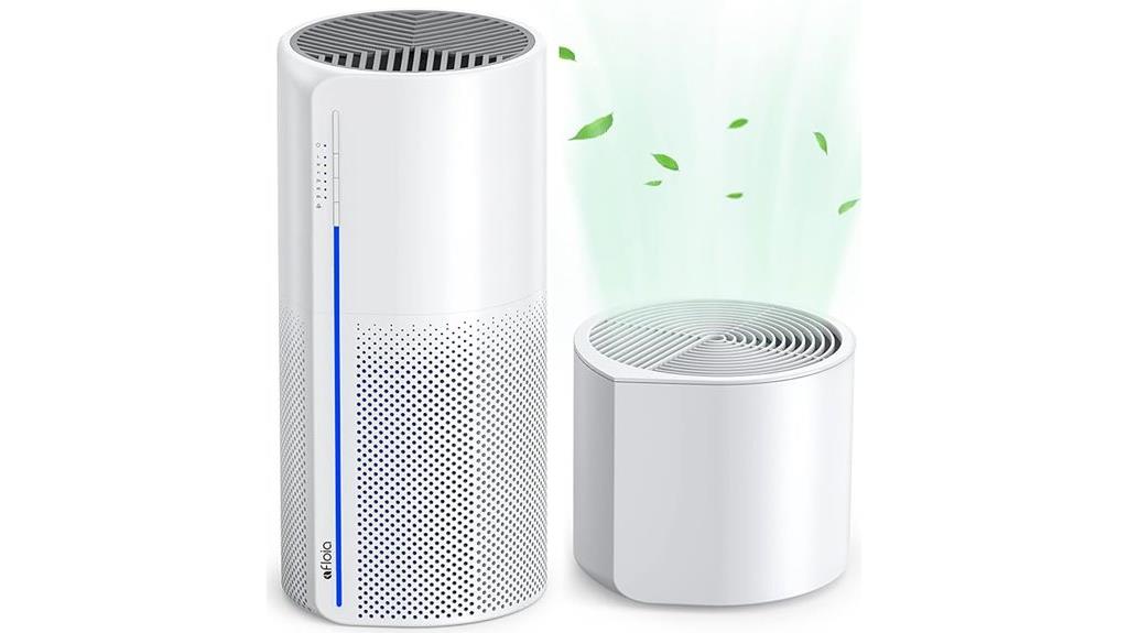 dual function air purifier