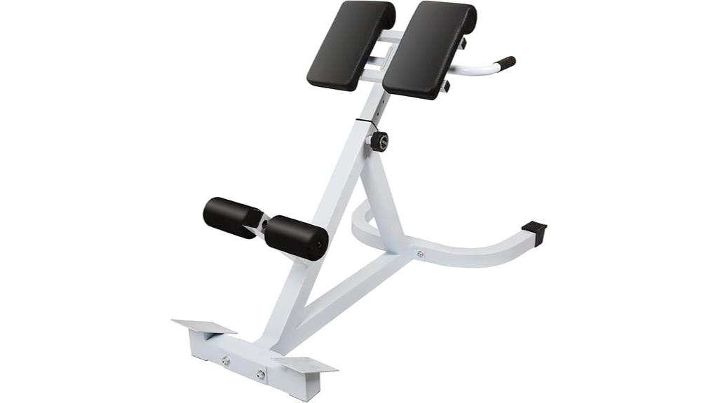 home gym roman chair