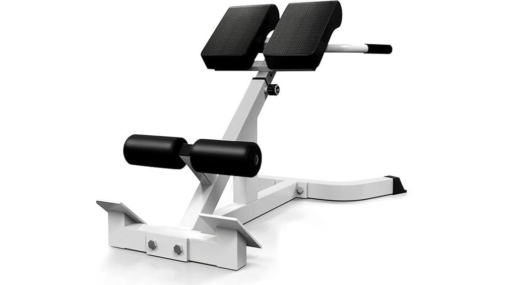 home gym roman chair