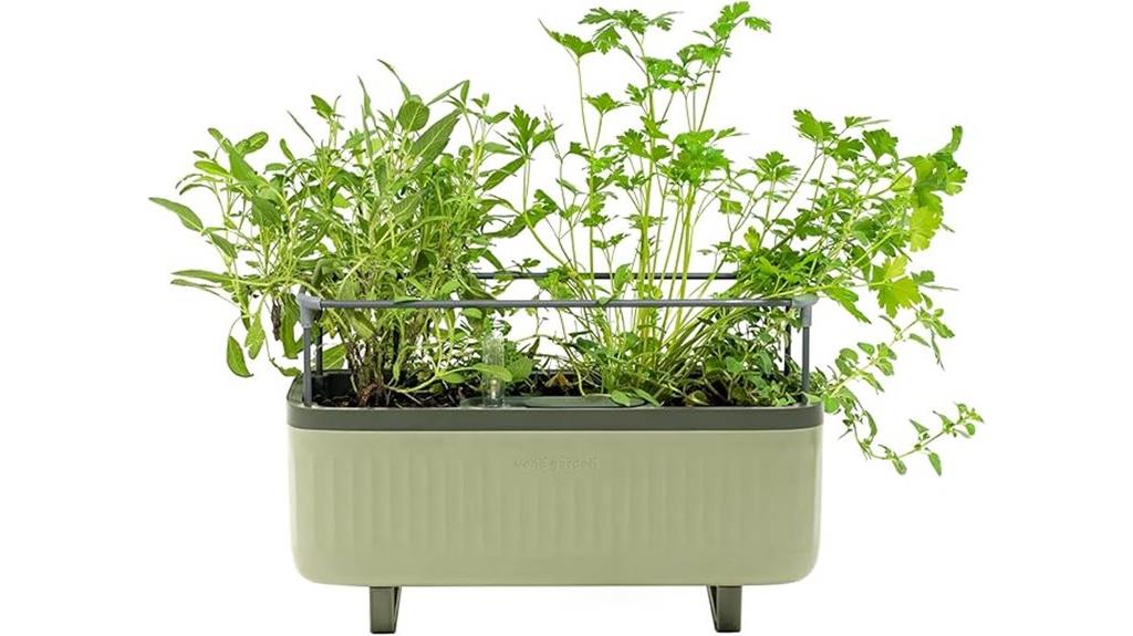 indoor herb garden box
