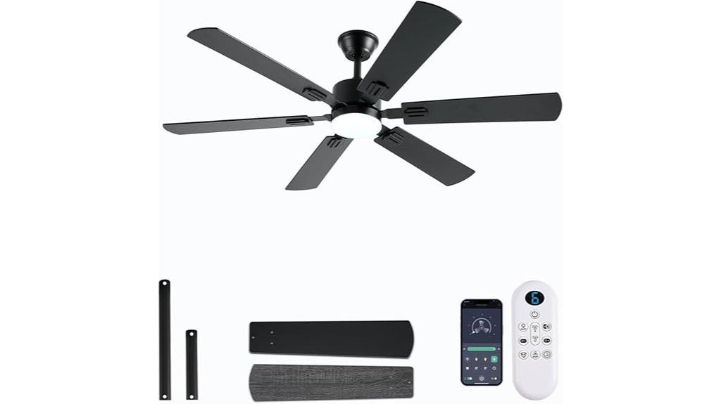 large black ceiling fan