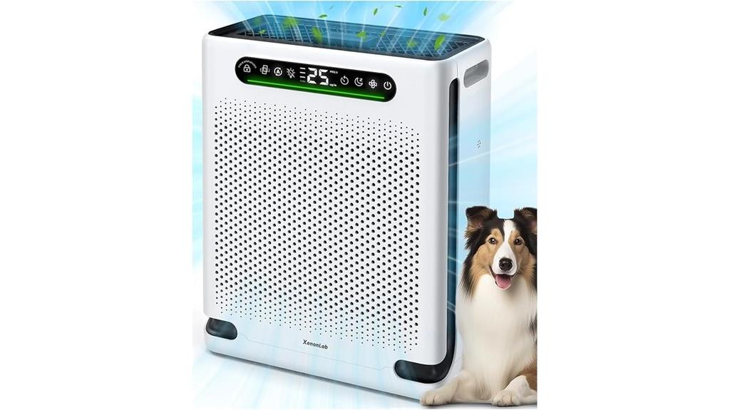 large room air purifier