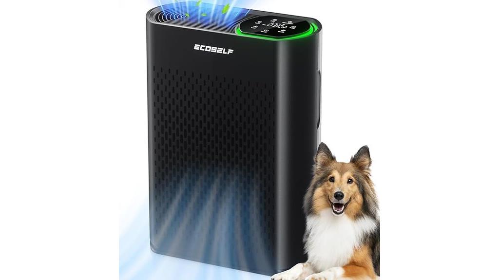 large room air purifier
