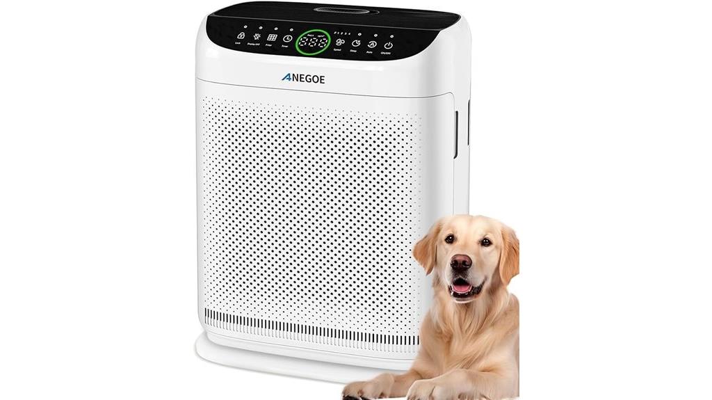large room hepa air purifier
