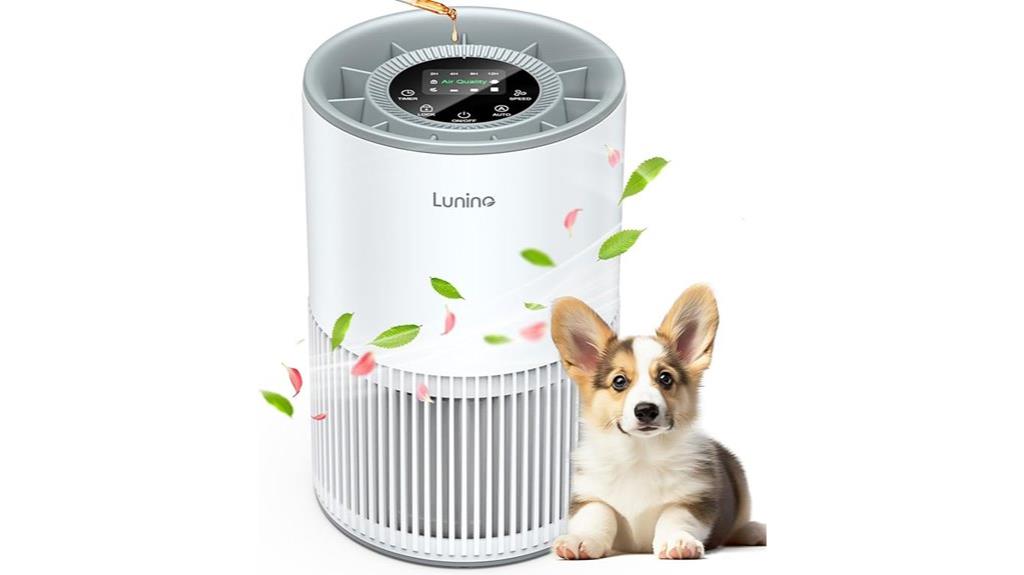 large room hepa air purifier