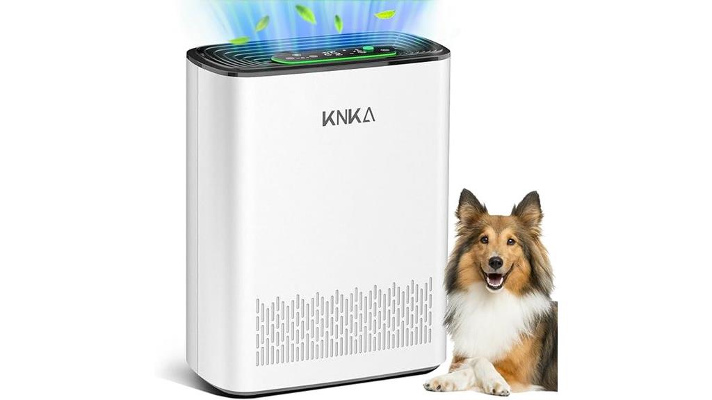large room hepa purifiers