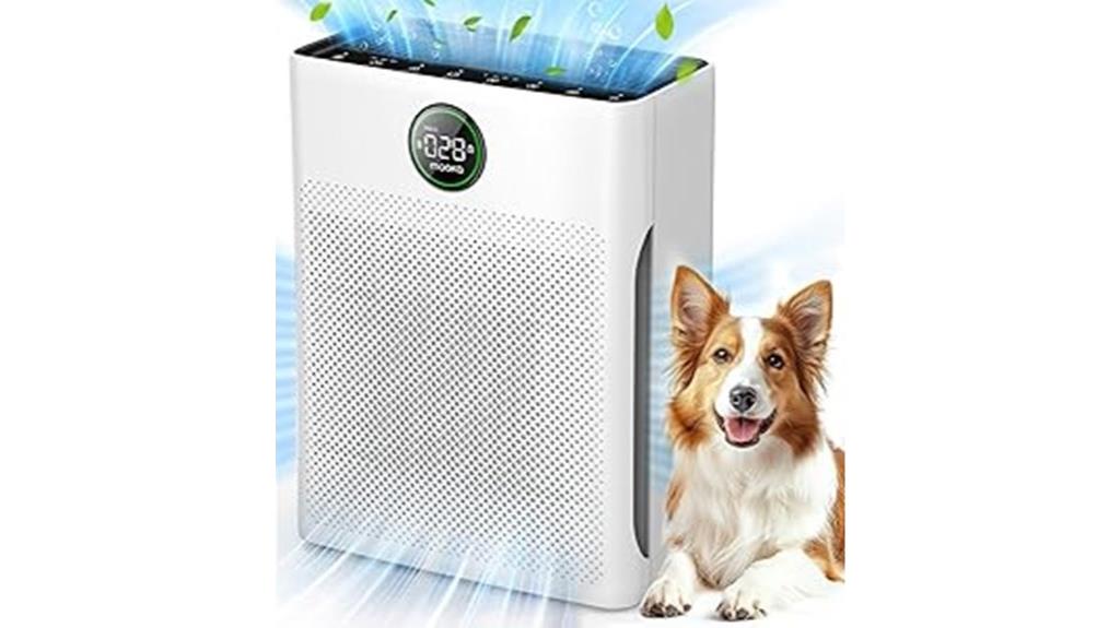 large washable filter purifier