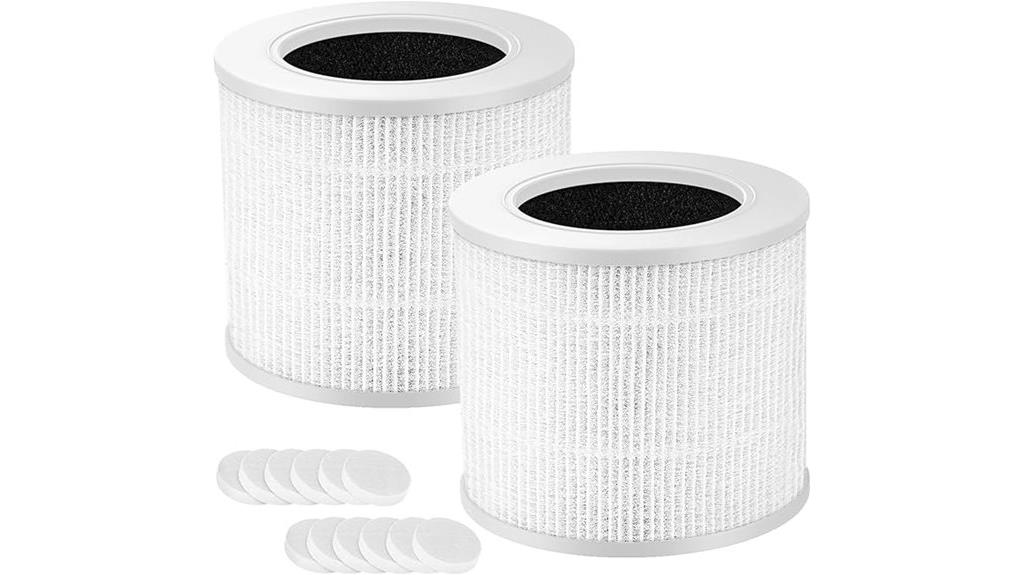 two hepa filters pack