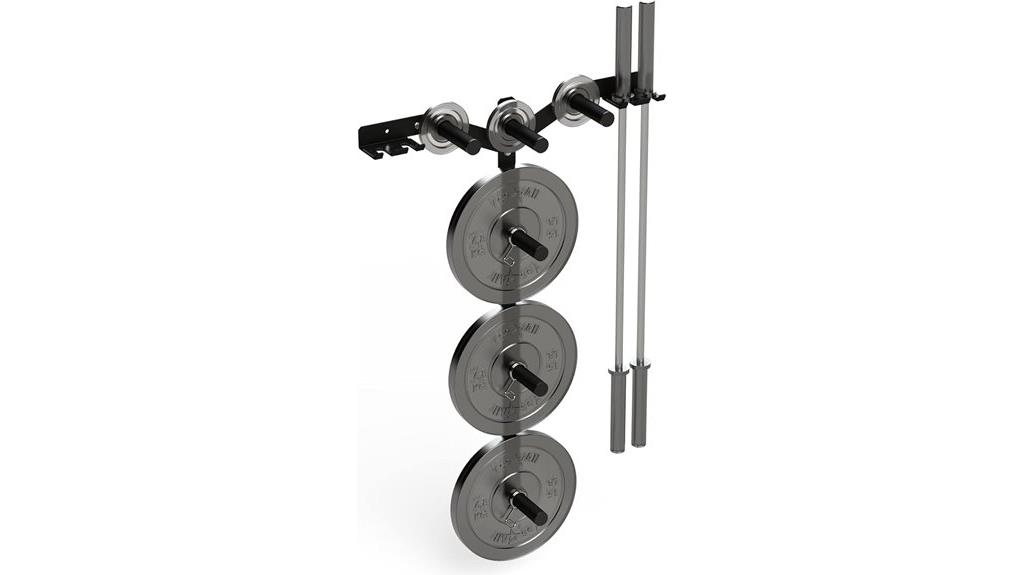 wall mounted weight storage