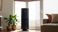 wildfire smoke air purifier