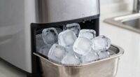 clean nugget ice makers regularly