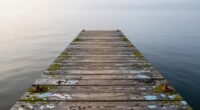 unemptied docks retain odors