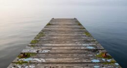 unemptied docks retain odors