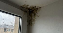 check for excess moisture