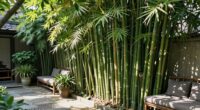 privacy enhancing outdoor features