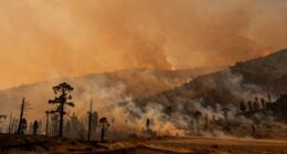 wildfire smoke requires unique air quality measures