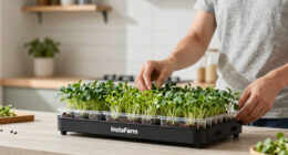 InstaFarm Automated Indoor Microgreens Garden Review: Easy Being Green