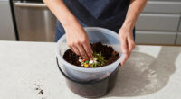 15 Best Soil Conditioners in 2026