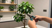 6 Best Topiary Silk Trees Prime Day Deals in 2026