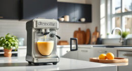 How to Clean a Breville Smart Oven Air: Step-by-Step Guide