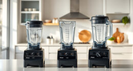Is the Vitamix E310 Explorian Worth It? Honest Review