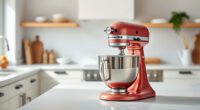 KitchenAid Professional 600 vs KitchenAid Mini: Full Comparison