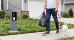 Pet Waste Laws 101: Written And Unwritten Rules Every Good Neighbor Should Know