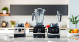 Vitamix 5200 vs Vitamix E310 Explorian: Full Comparison