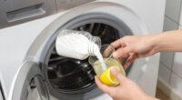 10 Best Natural Laundry Whitener in 2026