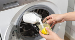 10 Best Natural Laundry Whitener in 2026