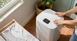 15 Best Dehumidifiers for Damp Homes and Basements in 2027
